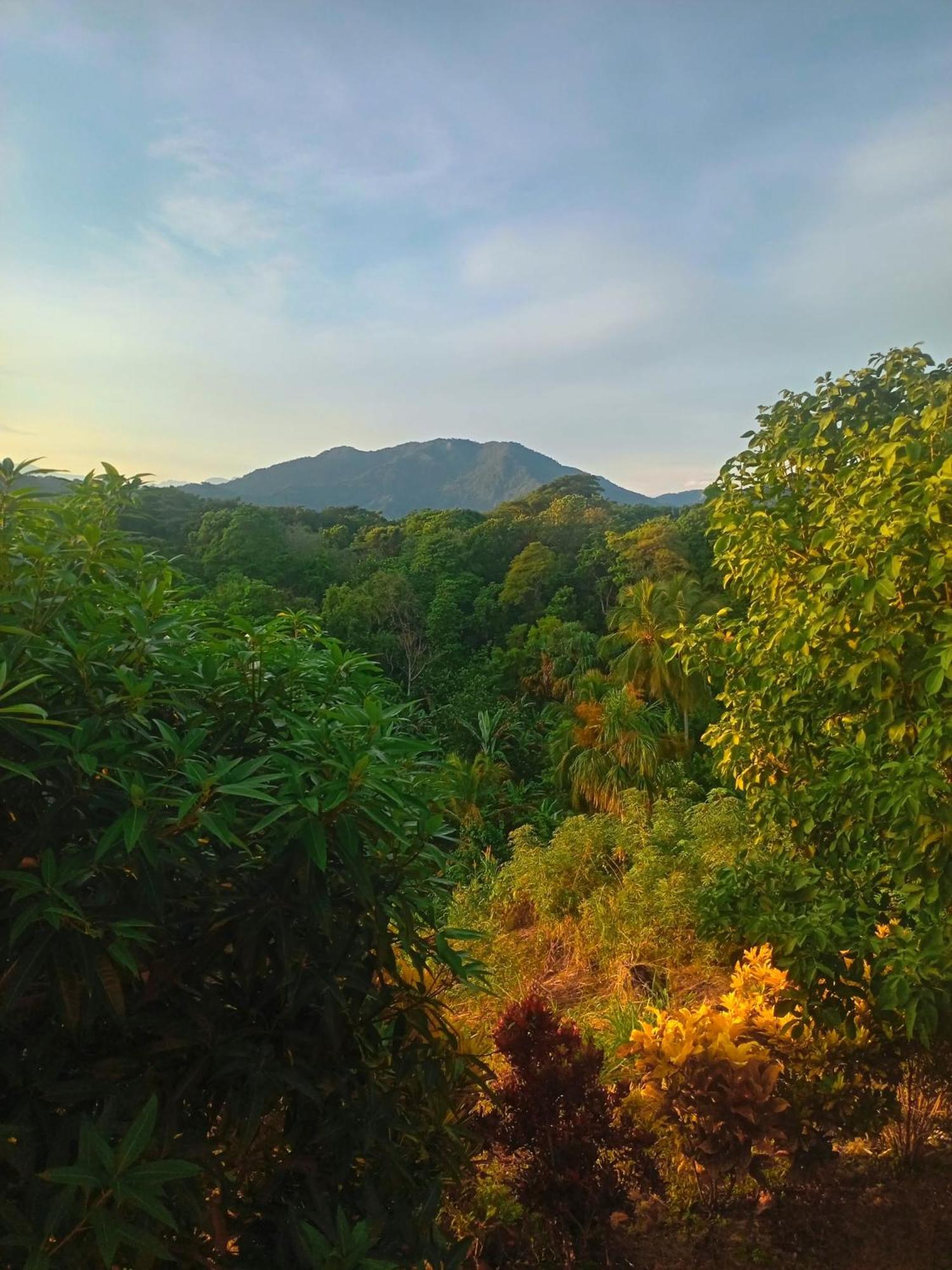 Casa Tolosa Tayrona, Los Cocos La Poza ภายนอก รูปภาพ