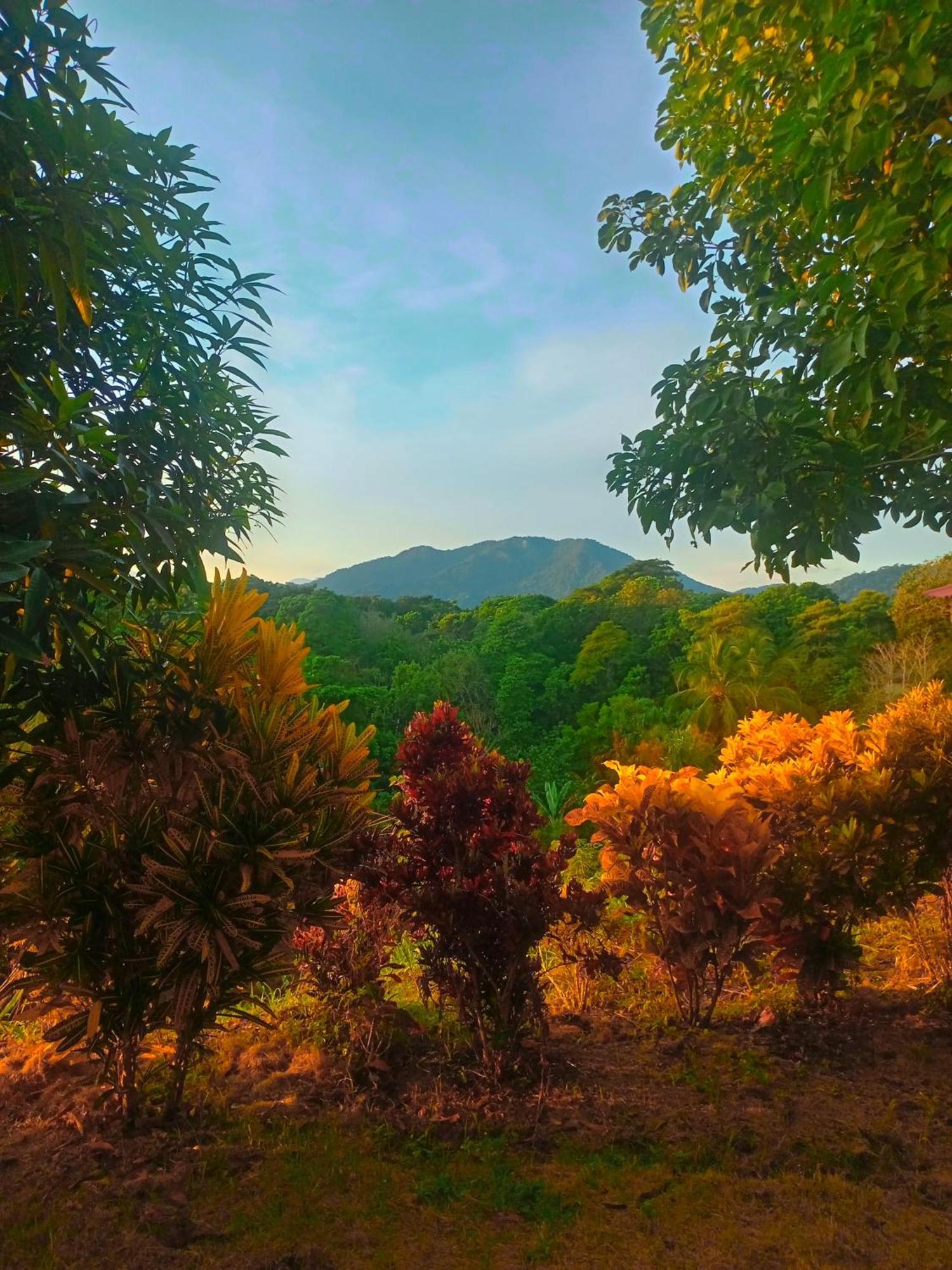 Casa Tolosa Tayrona, Los Cocos La Poza ภายนอก รูปภาพ